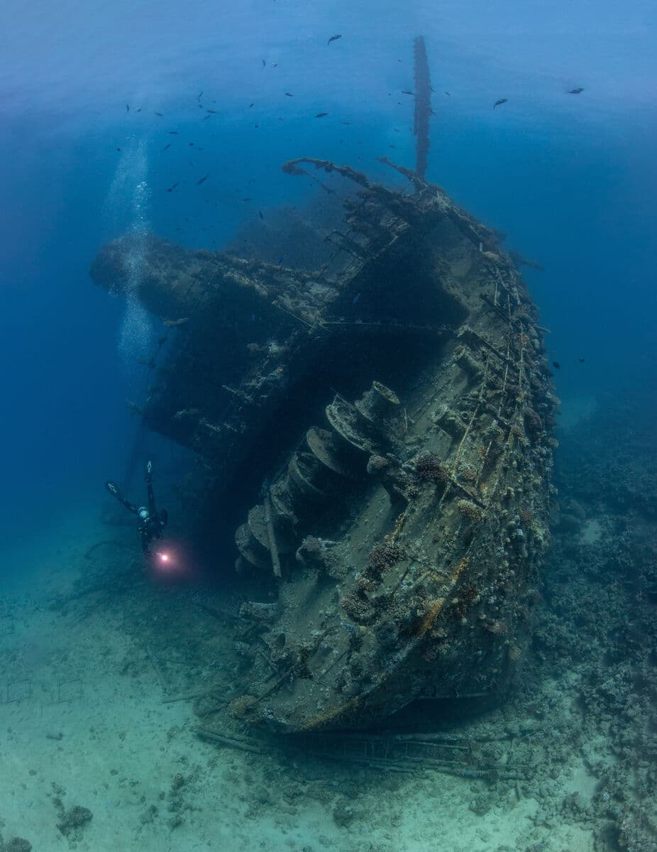 Giannis D Wreck, Red Sea