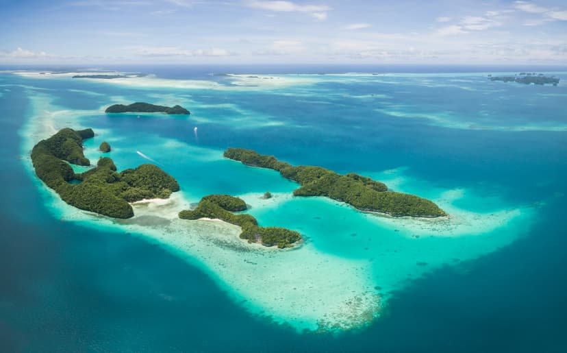 Palau · Jellyfish Lake & Blue Corners