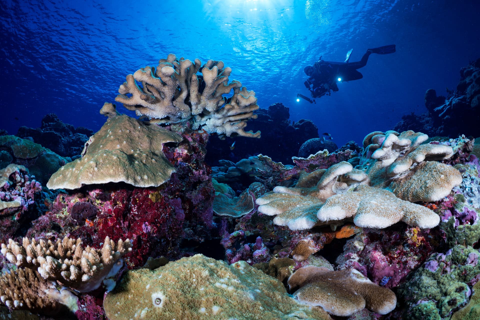 Solomon Islands - WWII Wreck Week